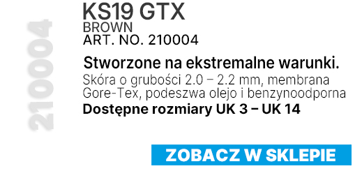 KS19 Brąz 