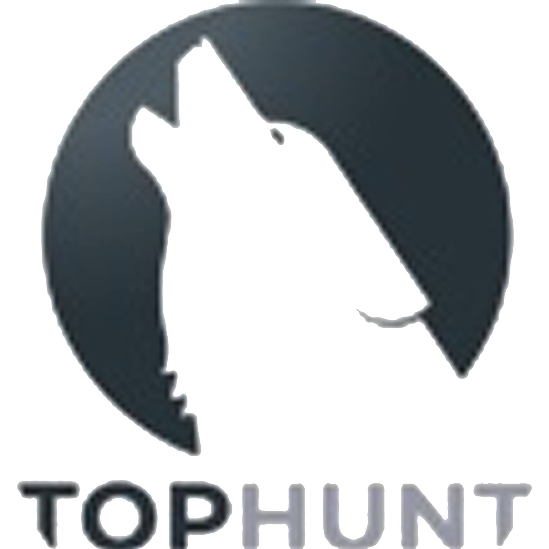 TopHunt