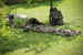 Bivi Cover / Sleeping Bag Cover With Mosquito Net Gore-Tex CARINTHIA Dutch DPM Original Used