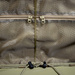 Equipment Duffle Bag 65 Tasmanian Tiger Multicam (8741.394)