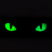 Naszywka Cat Eyes 3D PVC M-Tac Ranger Green (51114001)
