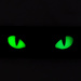 Naszywka Cat Eyes 3D PVC M-Tac Czarna (51114002)