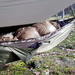 Poncho Koc Thermo Blanket Bushmen 2 x 1,4 m Olive (BU THBKET olv)