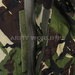 Kurtka Parka Wojskowa Brytyjska Smock Combat  Windproof DPM Woodland M2 Oryginał Nowa