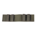 Panel Modular Patch Holder Tasmanian Tiger Olive (7615.331)