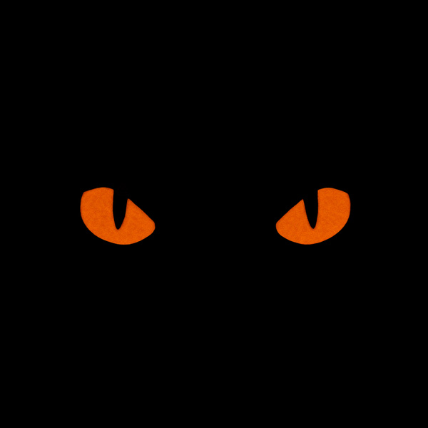Naszywka Cat Eyes M-Tac GID Coyote / Red (51495995)
