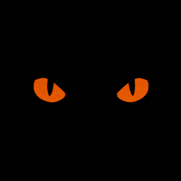 Naszywka Cat Eyes M-Tac GID Multicam / Red (51495998)