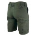 Bermudy / Spodenki Dominus Texar Olive (01-DMS-PA-OD)