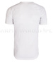 T-shirt Wojskowy Biały Oryginał Demobil DB - Zestaw 10 Sztuk