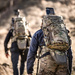 Tactical Backpack Eberlestock LoDrag II Pack X31 38 Litres Black (X31MB)