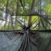 Hamak Frontline KING Size DD Hammocks Olive Green