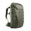 stone grey olive