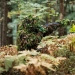 Zestaw Do Maskowania Mil-Tec All-Purpose Camouflage Pack