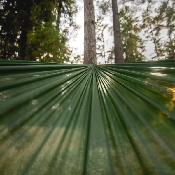 Hamak Ultralight SUL Lesovik 25 Iucent Forest Green