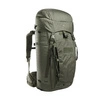 stone grey olive