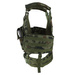 Kamizelka Taktyczna Plate Carrier Kirasjer Buckle Up Beryl / Grot Dominator Pl Camo