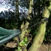 Zawieszenie Do Hamaka Strong 5m Webbing DD Hammocks 2 Szt.