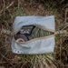 Hangar Zip-Pouch MEDIUM Eberlestock Olive (AH1M)