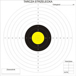 Tarcze Strzeleckie 17 x 17 cm 100 Sztuk