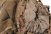 Plecak Wojskowy MOLLE II /  Modular Lightweight Load-Carrying Equipment Rucksack Large US Army Multicam Oryginał Demobil BDB