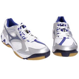 Buty Sportowe Mizuno Wave GS0606 Srebrno / Biało / Niebieskie Nowe
