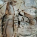 Tactical Backpack Eberlestock Skycrane II Pack 73L Coyote (J79MC)