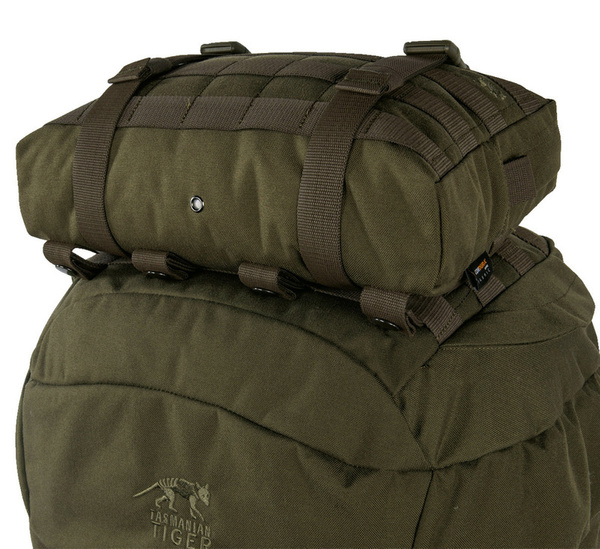 Tac Pouch 10 Tasmanian Tiger Olive (7573.331)