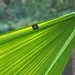 Hamak GREEN UL FlyHamak Nowy