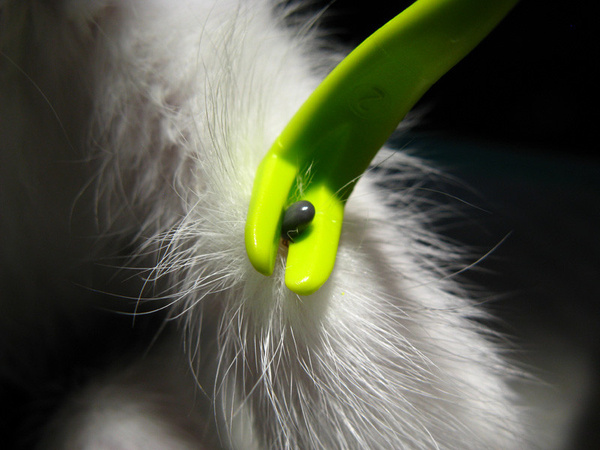 Kleszczołapki Tick Twister 3 szt.