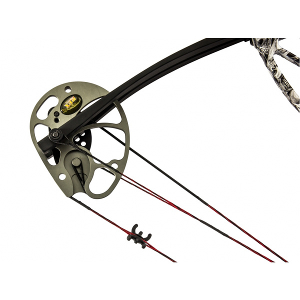 Łuk Bloczkowy Dla Dorosłych i Młodzieży Rex 15-55 lb 28" Poe Lang Skull Camo (CO-029M)