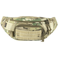 multicam