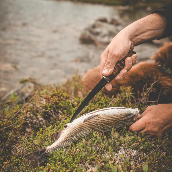 Nóż Big Fillet H. Roselli R255