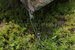 Tarp KPU 250 x 220 cm + Frame Woodland Original New 