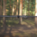 Hamak Obozowy Niedźwiedź XL z Moskitierą TigerWood Olive