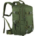 Backpack WISPORT Ranger 30 Litres Olive Green (RANOLI)